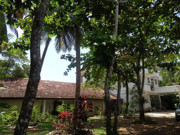 Nooit Gedacht Holiday Resort อูนาวาตูนา ภายนอก รูปภาพ