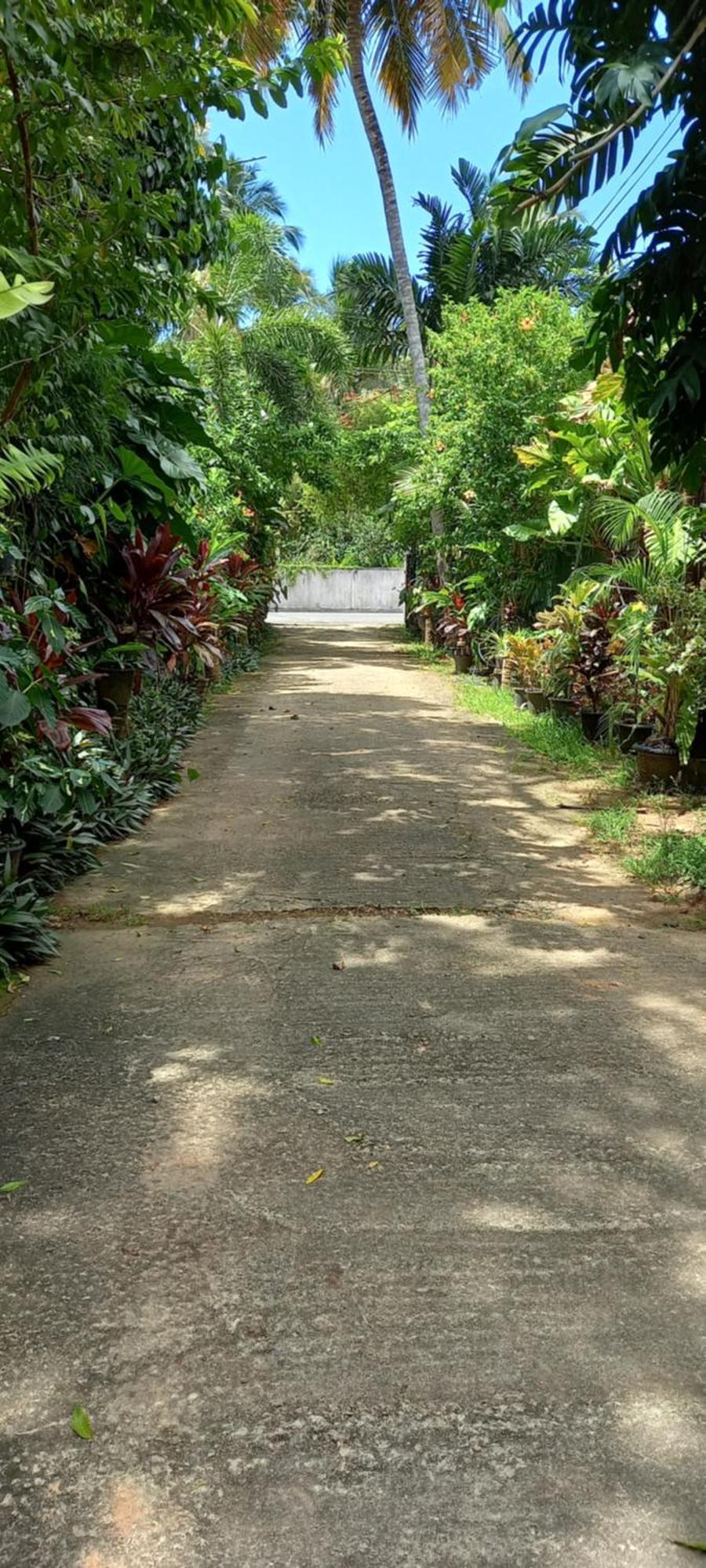 Nooit Gedacht Holiday Resort อูนาวาตูนา ภายนอก รูปภาพ