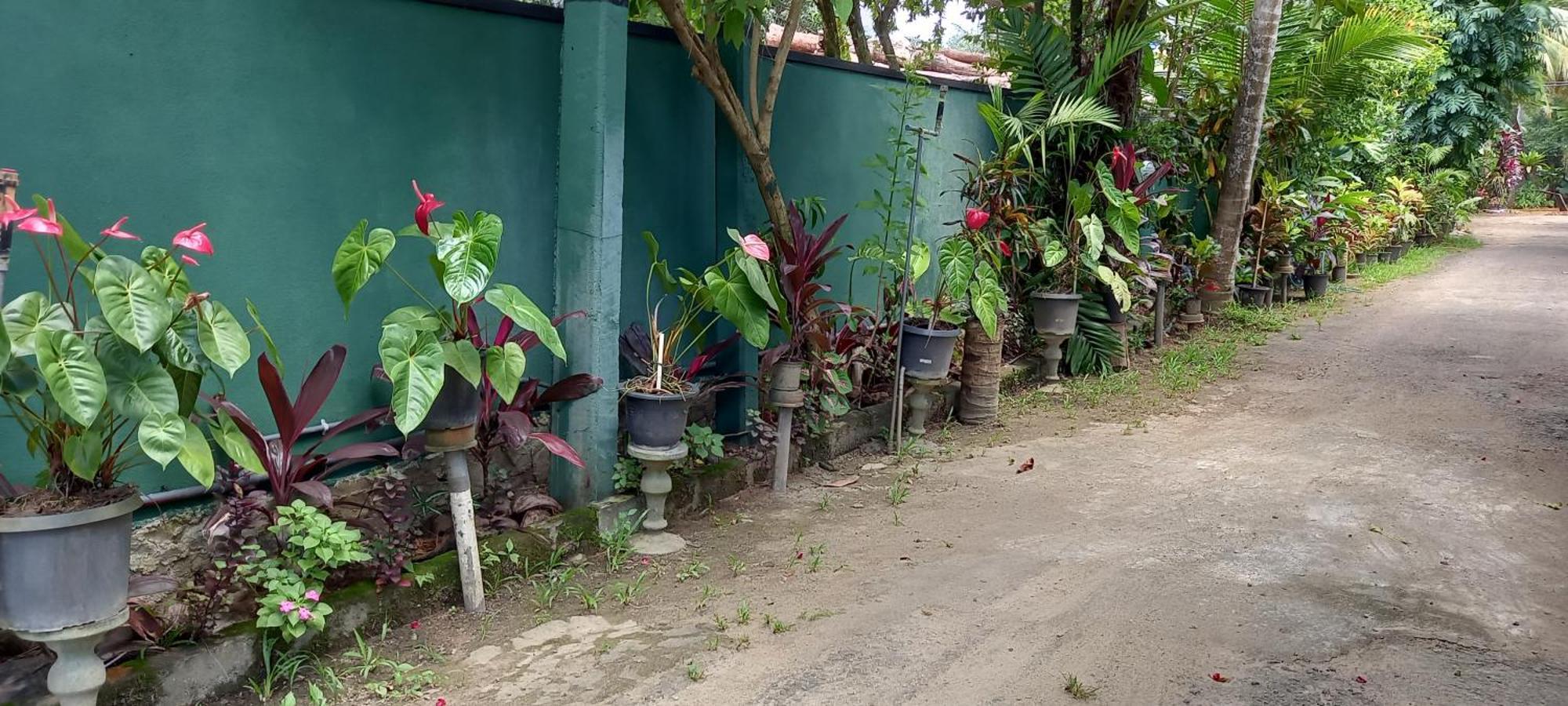Nooit Gedacht Holiday Resort อูนาวาตูนา ภายนอก รูปภาพ