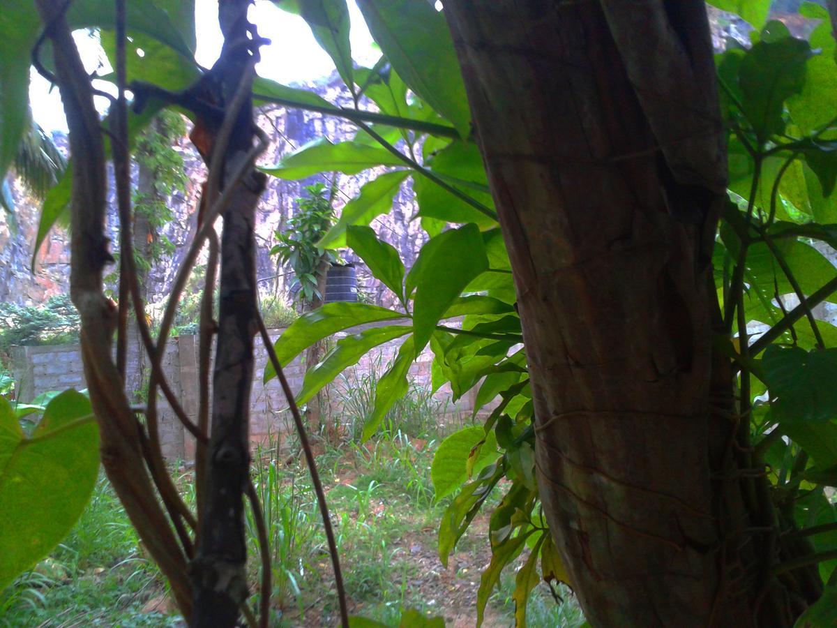 Nooit Gedacht Holiday Resort อูนาวาตูนา ภายนอก รูปภาพ